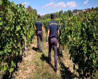 Caporalato, 9 lavoratori in nero scoperti nell’astigiano